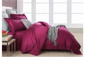 �Ҽ�ץס���^����׌��͎���