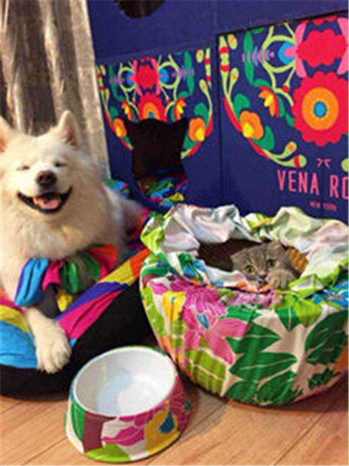 ���Ӷ�����Ψ�_�Ҽ����ص��̘I(y��)ģʽ