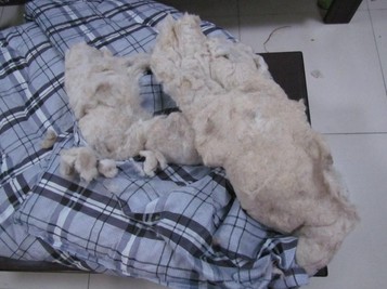 �����ˮ�����̾֓v��һ�����޼ӹ��S(ch��ng)