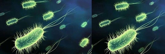 ���_�m�Ҽ�������˯��������˯��������