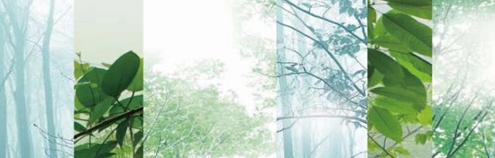 ���_�m���C�Ҽ���߀ԭ���Rԭ���B(t��i)ƽ��h(hu��n)��