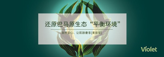 ����˯����ه(l��i)��Violet���C�Ҽ�