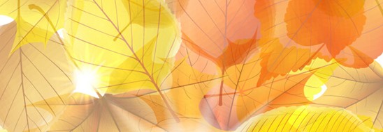 ����˯����ه(l��i)��Violet���C�Ҽ�