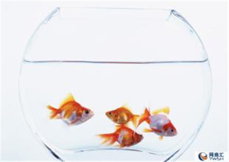 �û�����Ҿ���Ʒ�������^(gu��)��(g��)����ˬ��÷�꼾