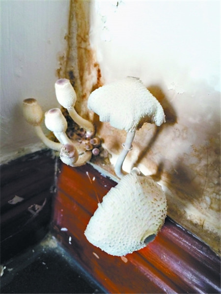 �û�����Ҿ���Ʒ�������^(gu��)��(g��)����ˬ��÷�꼾