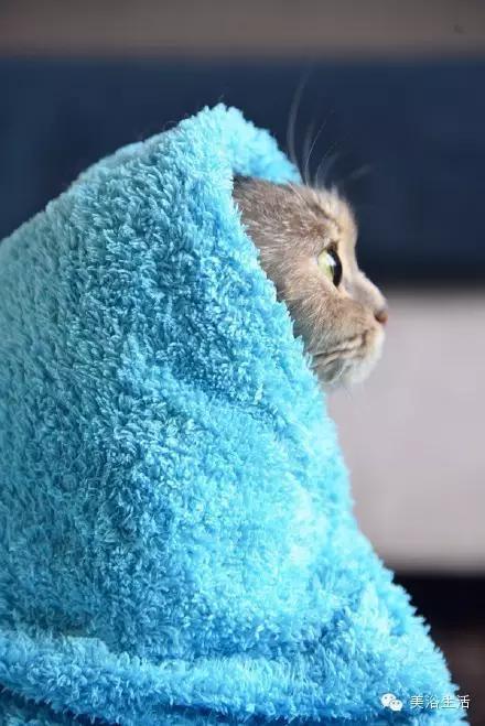 ��ԡ���ë�����Ԍ�����ë��Ҳ�����v����