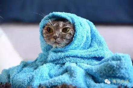 ��ԡ���ë�����Ԍ�����ë��Ҳ�����v����