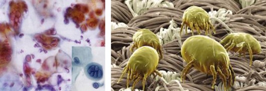 ���_�m�Ҽ�����(��i)������������(��i)��360�㝍����˯