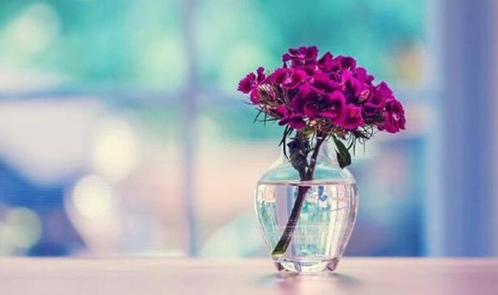 ���_�m�Ҽ���������������z��˲�g�������Ử�ڻ�