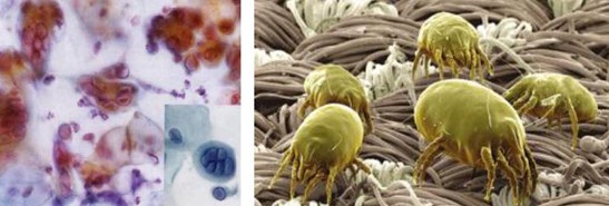 �ܽ^���f(w��n)���x(ch��ng)�����x���_�m���C�Ҽ�