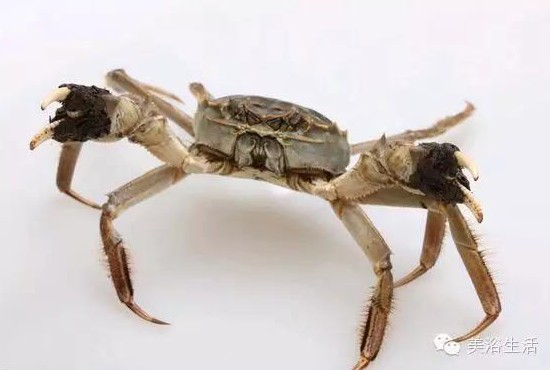 ��ԡ����Â���Ĵ��lз��з�S��ʳ��зȯ������з��������ë����