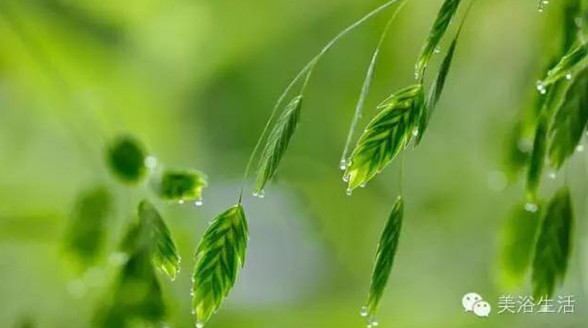 ��ԡ���Փһ�lë�����������B��