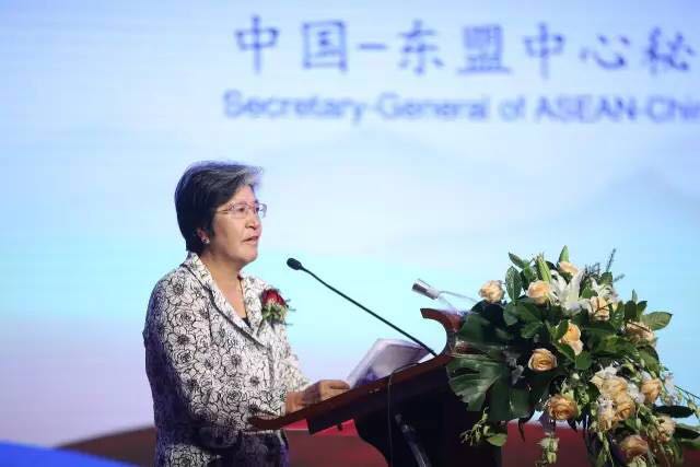 䁾̈́�(chu��ng  )�����Gɫ���ɳ��m�l(f��)չ���½z·��2017��һ��һ·���������b�a(ch��n)�I(y��)�l(f��)չՓ���ڞ���ľ�R���_(k��i)