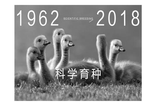 ����Ҽ����m�����q���¾��p��������