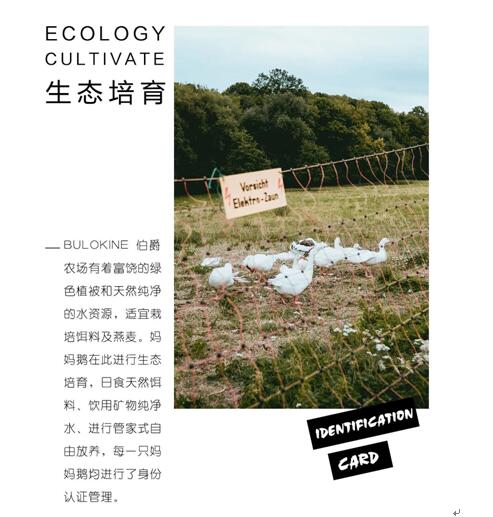 ����Ҽ����m�����q���¾��p��������