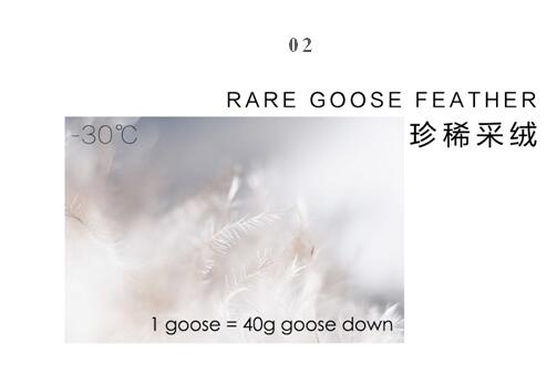 ����Ҽ����m�����q���¾��p��������