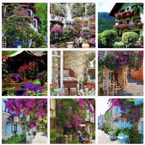 С�[�T(m��n)��������D����Ȧ�����c(di��n)Ҫ�󲻿�����������ƽ