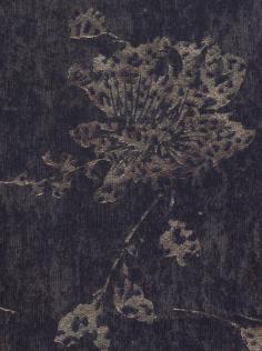 29W��z�q�C��