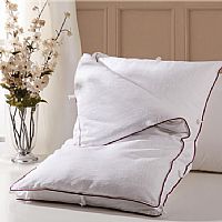 ���x-��ĸ��