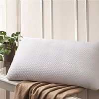 �˜����w�S�����������w��