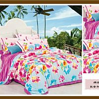 �_�����Z(y��)