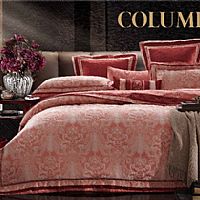 ����˹��