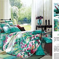 �eͥ���_(k��i)