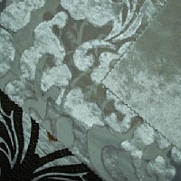 �L(ch��ng)ë�q-�����ò�