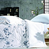 �����ı�