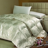 ��(y��u)������q��(FYRB-002)