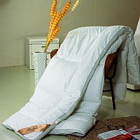 ͸����z����FYSB-009��