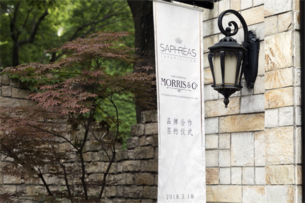 ���������Ī��˹��Morris���c�zܽ��(li��n)�����_(k��i)��(chu��ng  )�Ҿ�IP�r(sh��)��