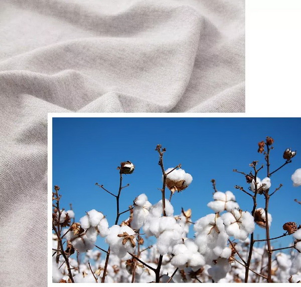 COMOLIVING�Ƴ��~������˯���������ߵ�����ęn