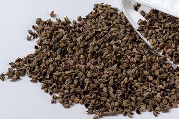 ����(zh��)����Ȼ���������ѻ��Ҽ��ĸ�ɽ���w������s�ߴ����﷦����