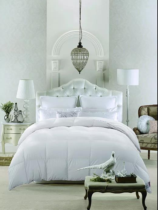 ����Ʒ�Z�q�����˜ʳ��_���쿴�����I(m��i)�ı����_���˛](m��i)��