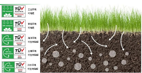 �۽��ɳ��m�l(f��)չ���c(di��n)���ṩ��S��Q�������m�����Є�(d��ng)��