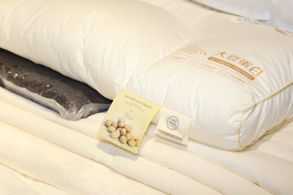 ���������|�����W(xu��)�����칤ˇ�͹żҼ��������u��ӛ����&�����ס�ϵ�аl(f��)����(hu�� )��Cieltown�Ġ�С�2022�ﶬӆ؛��(hu�� )�����u�e��